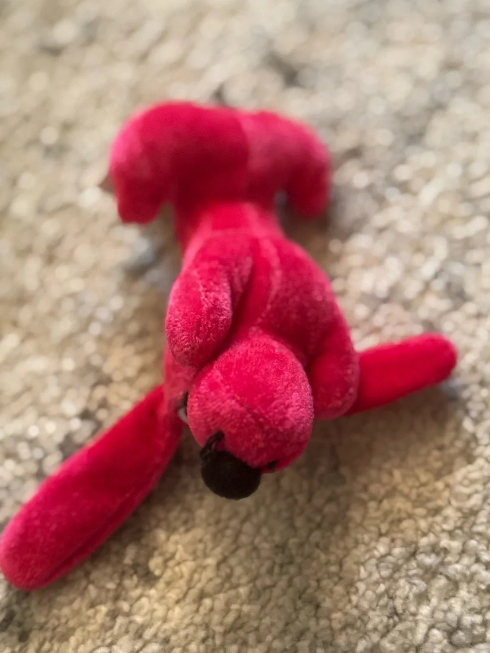 N/A soft red